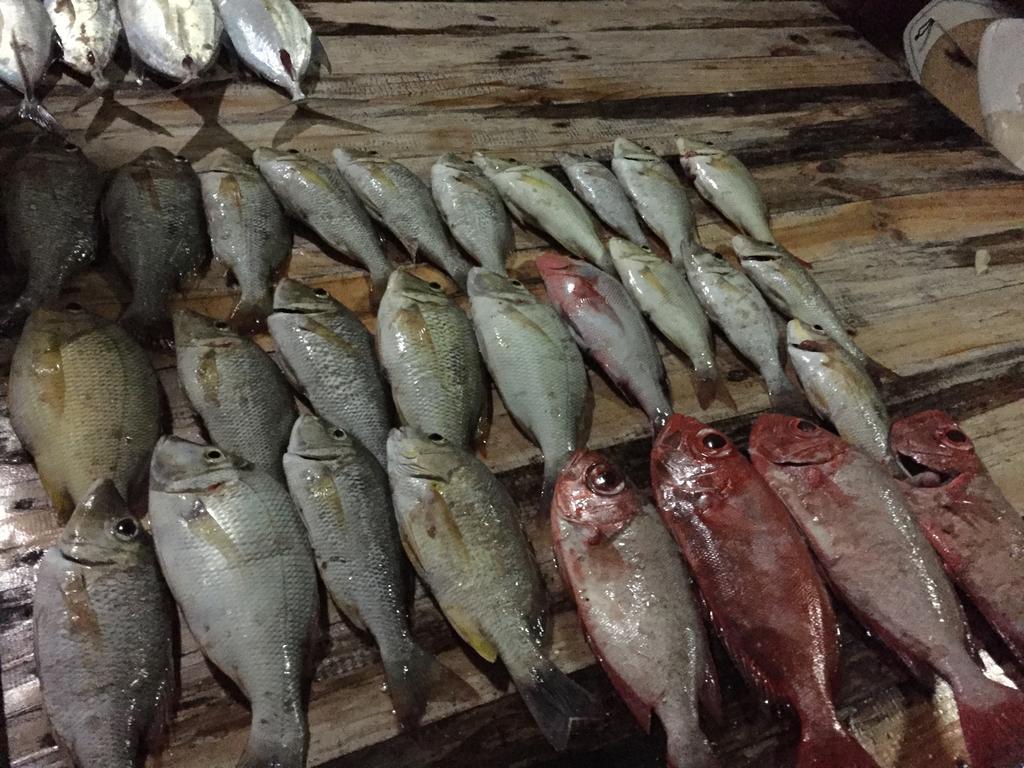 Huraa East Inn エクステリア 写真
