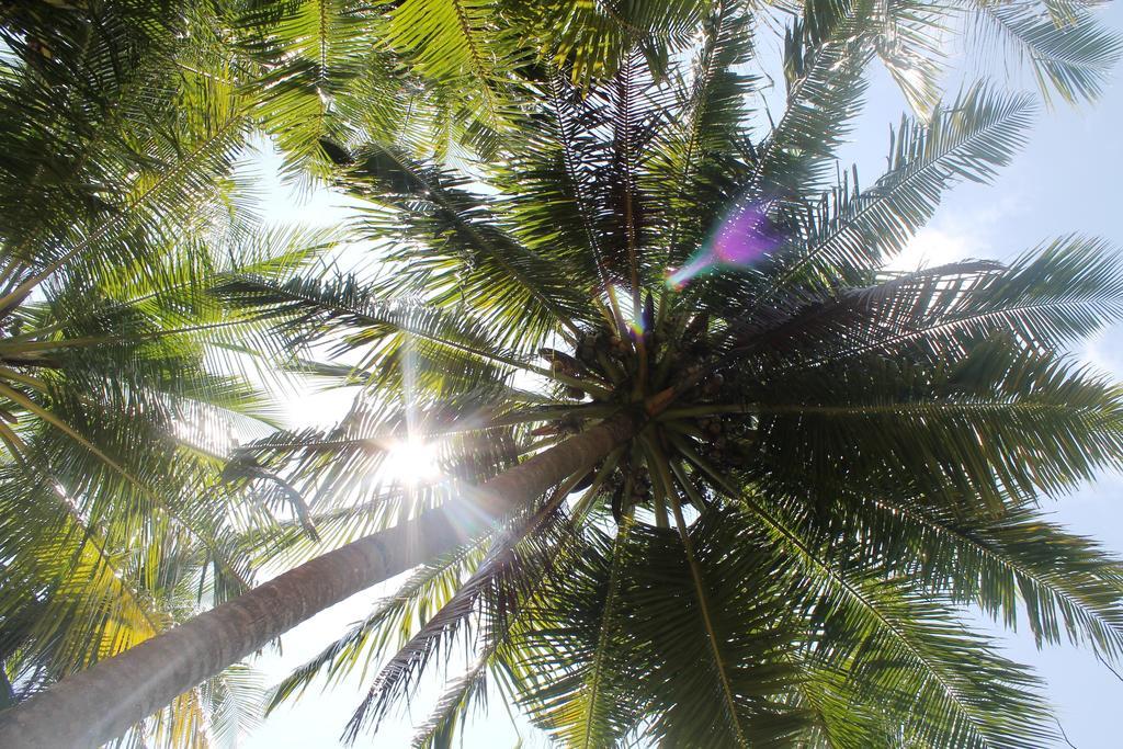 Huraa East Inn エクステリア 写真